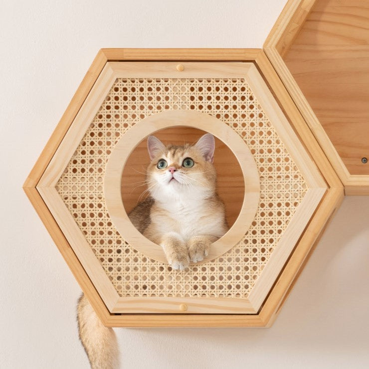 【猫の間セット】六角ハウス+自然の屏カバー+CORK+CORK-R
