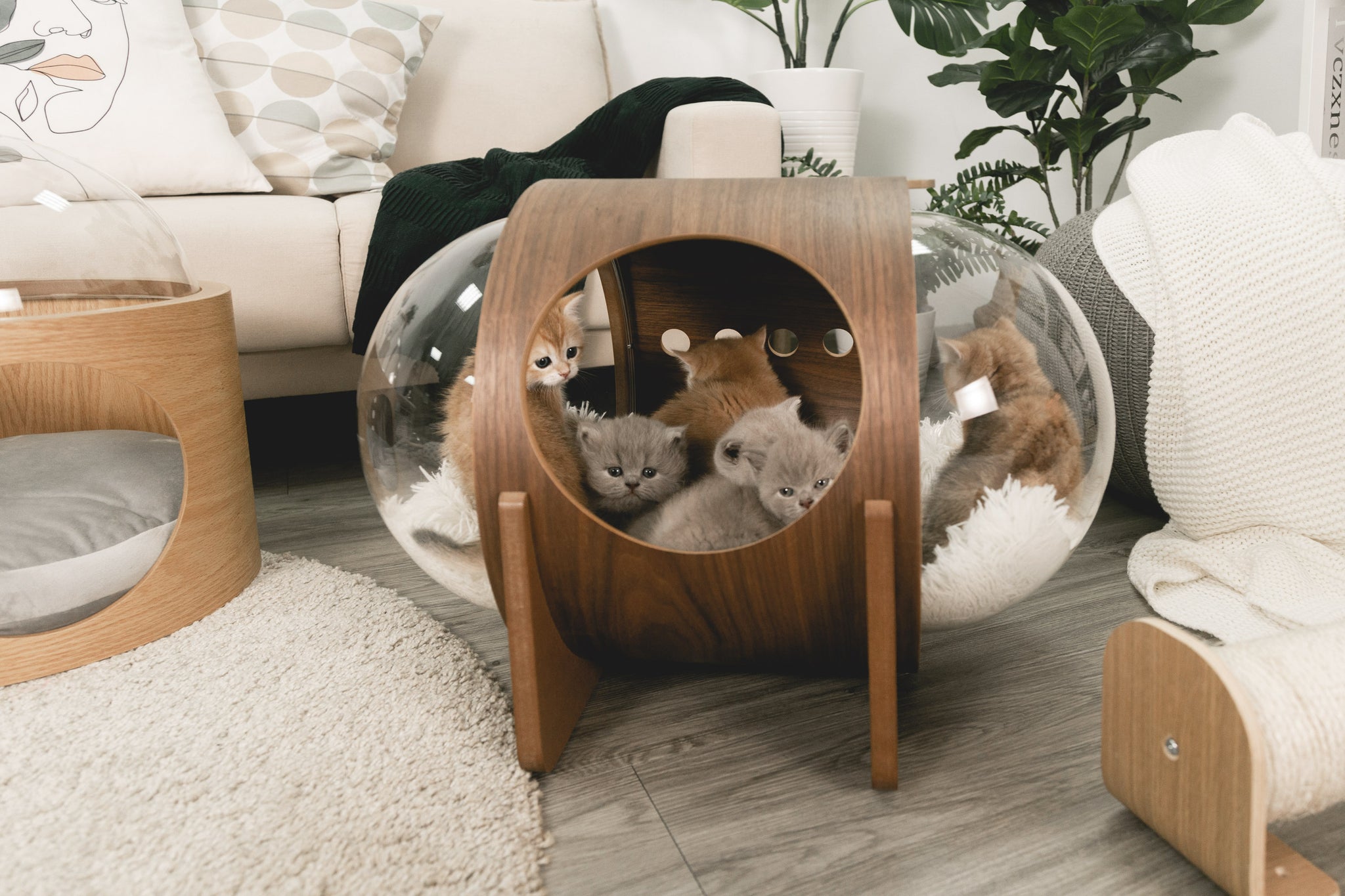 Alpha Cylinder1+1 Set