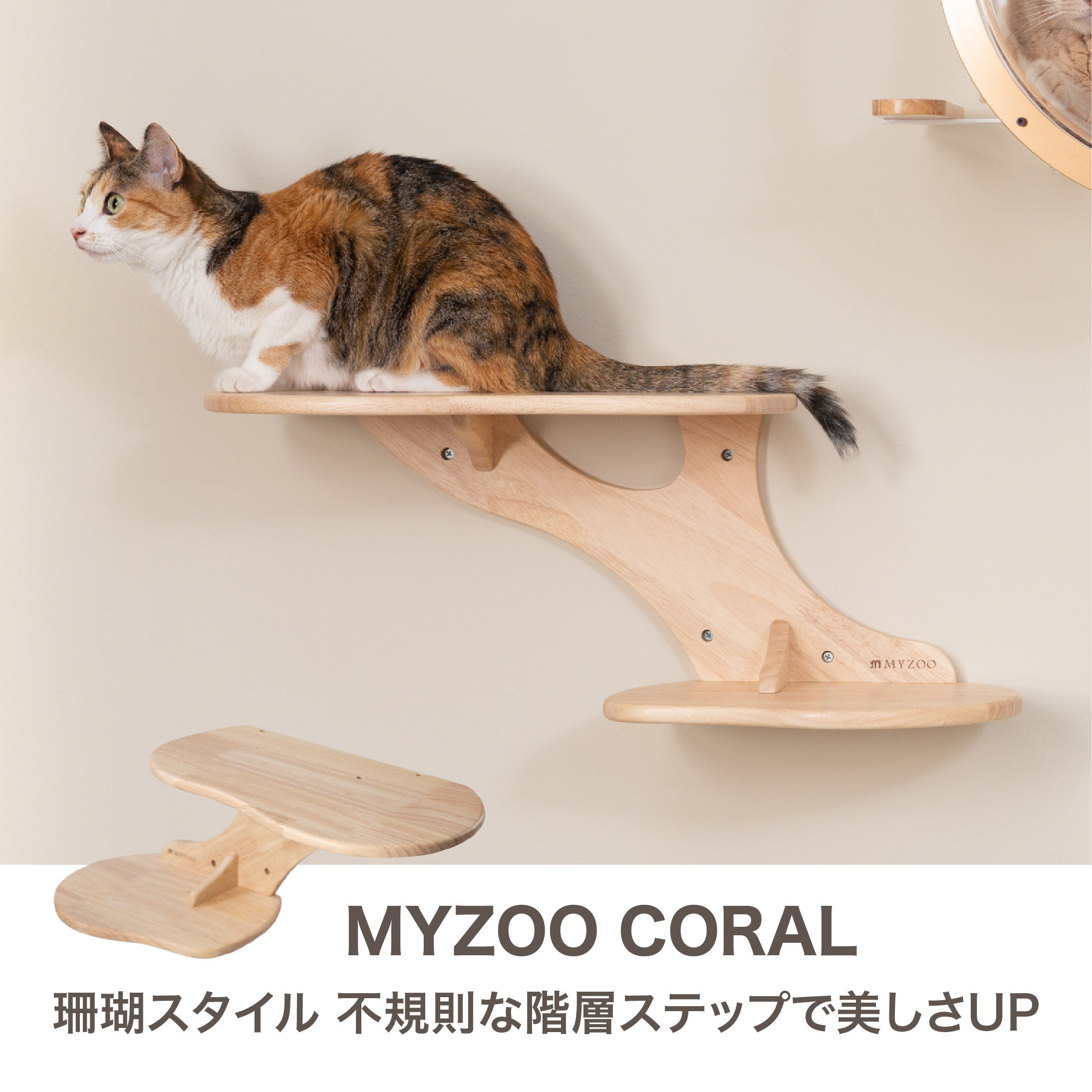 【在庫限りで販売終了】MYZOO-CORAL