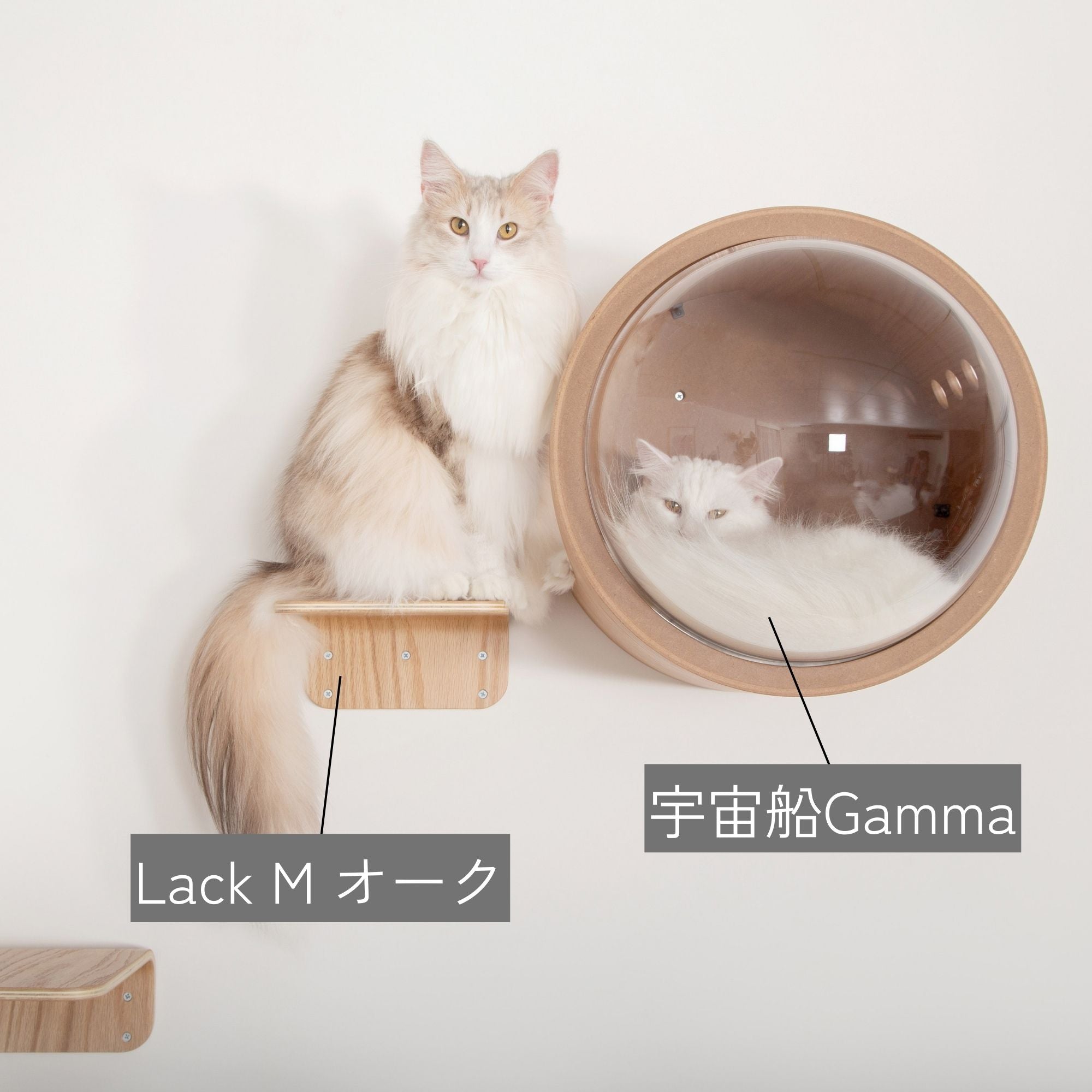 【シンプルセット】宇宙船GAMMA+LACK-M　