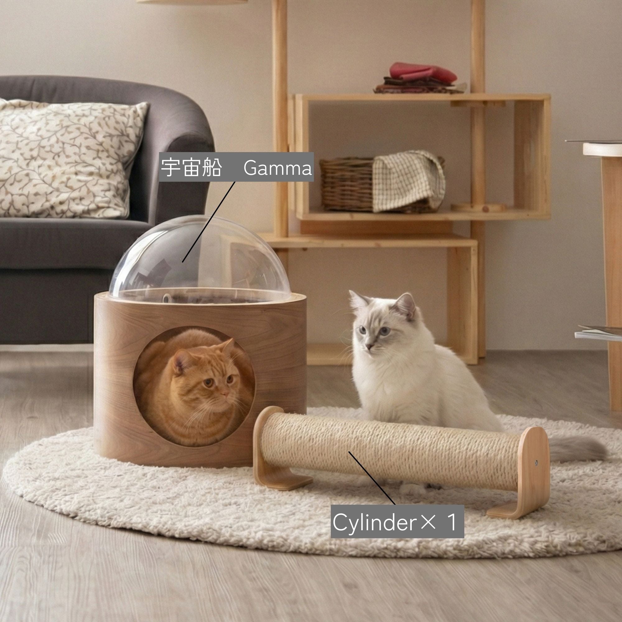 Gamma Cylinder1+1 Set