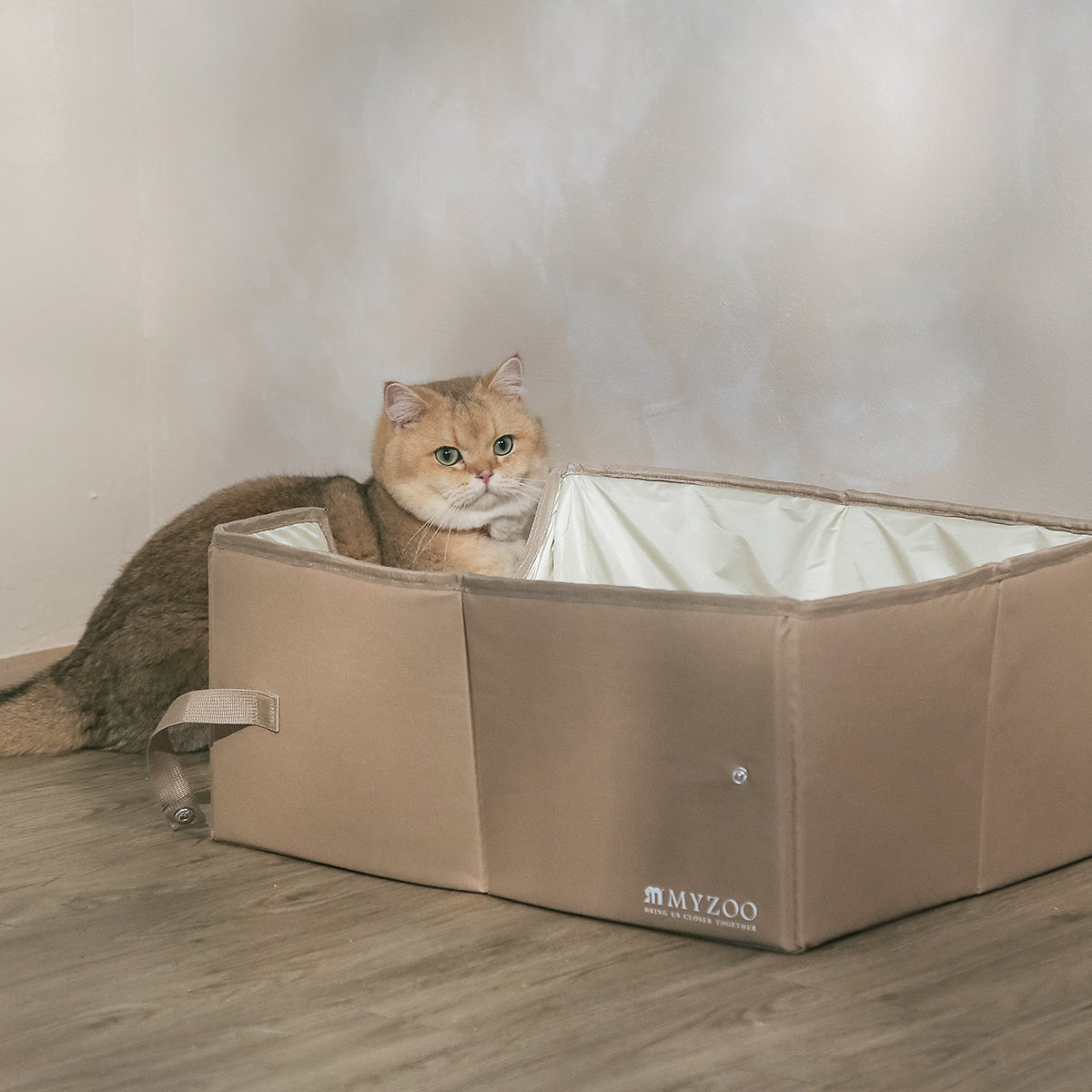 Foldable Cat Litter Box
