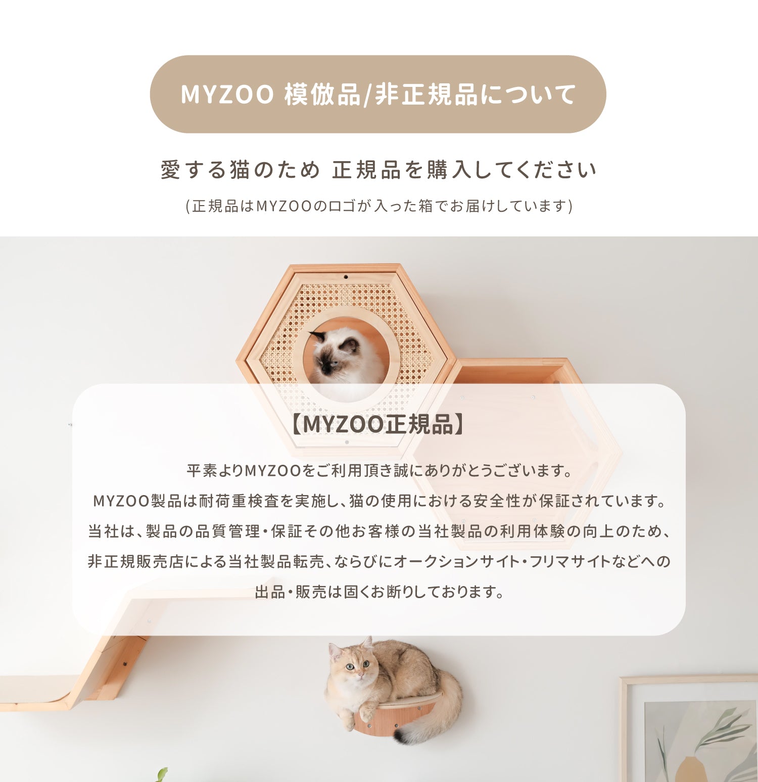 日本官網-myzoo非正規品須知-26.05更新.jpg__PID:7fe2a789-6af9-4535-b964-b323f52dc45a