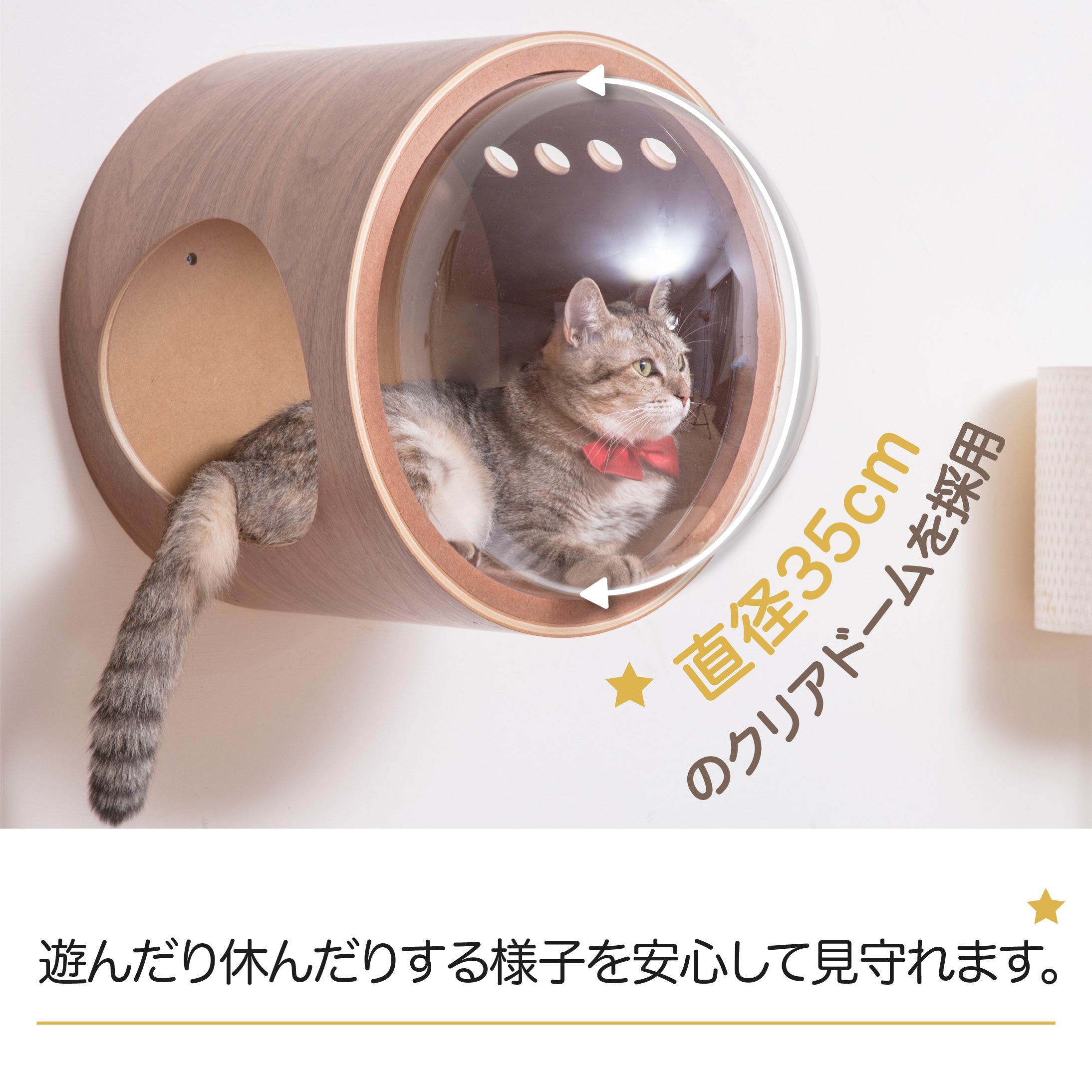 【床置き＆壁付け両用猫ベッド】MYZOO-宇宙船GAMMA/ウォールナット