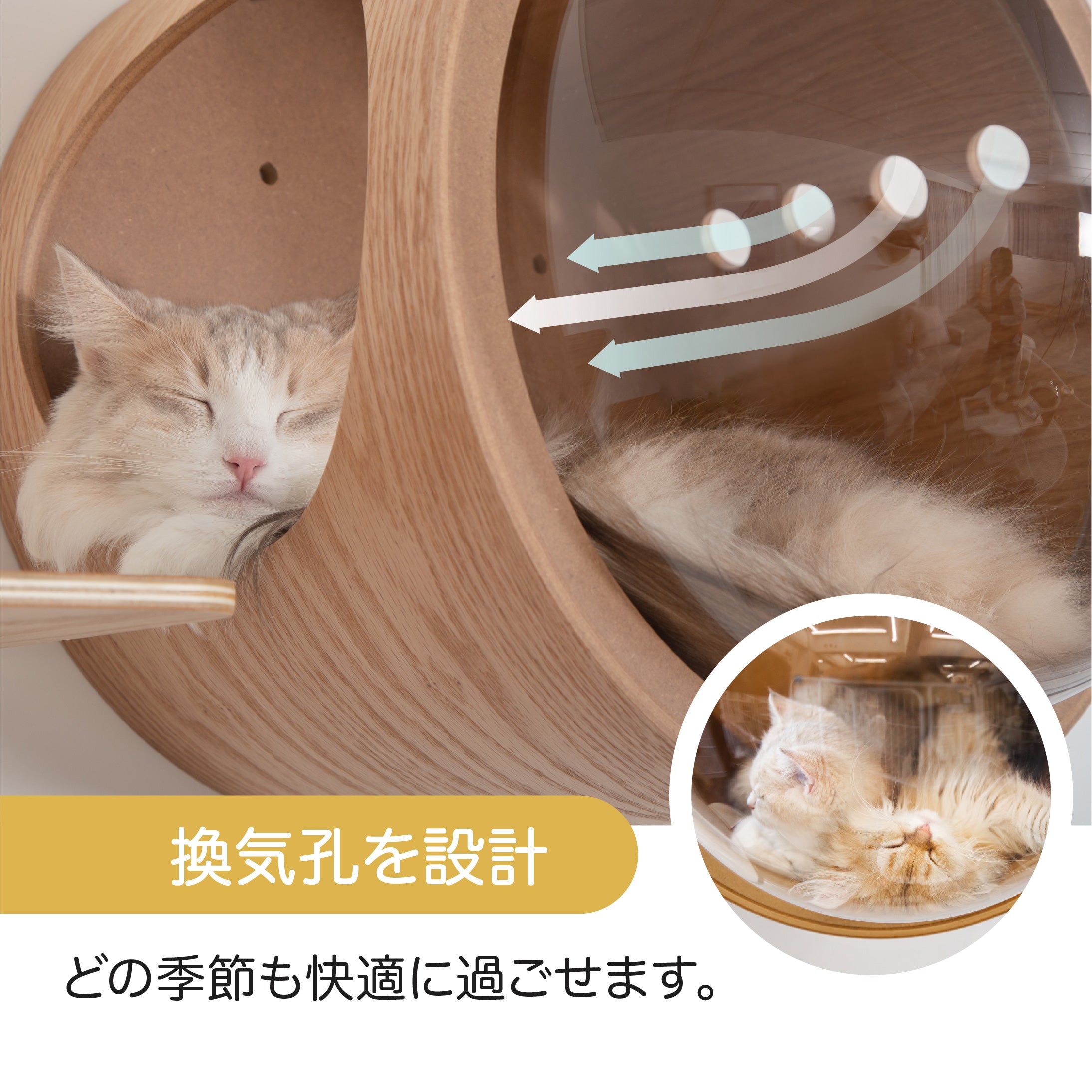【床置き＆壁付け両用猫ベッド】MYZOO-宇宙船GAMMA/ブラック