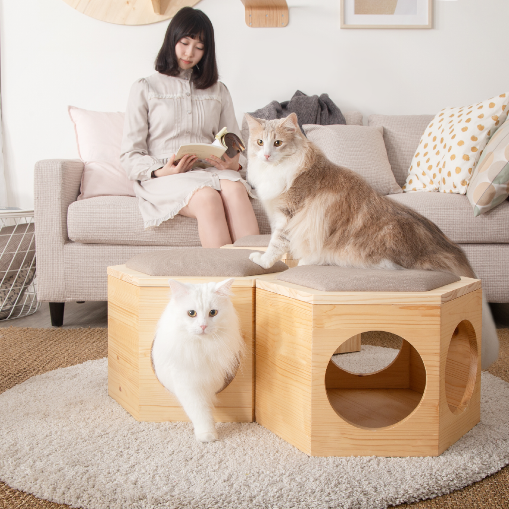 Busycat Chair Plate